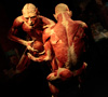 Body World Sergisi’nde NOVA imzası