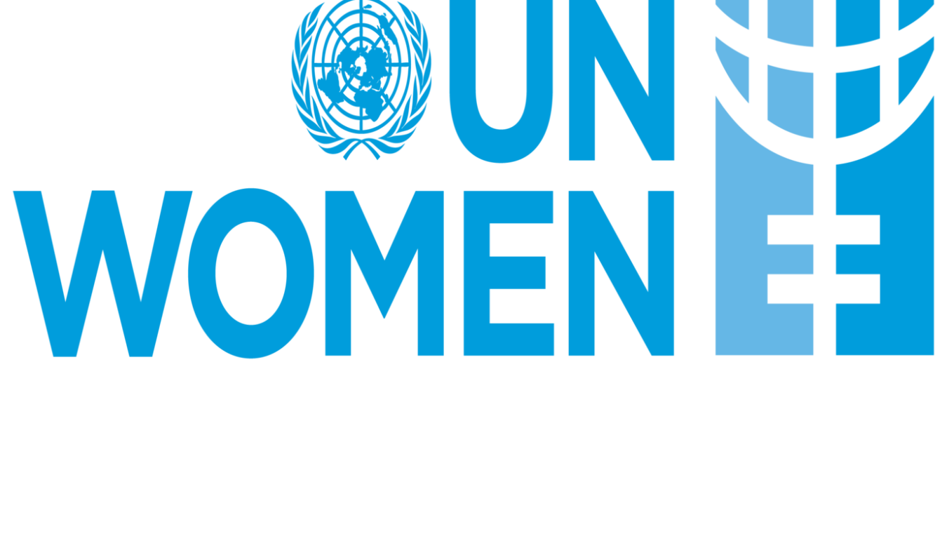 BM Kadın Birimi Türkiye’den bir politika diyalog serisi daha